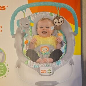 Baby Bouncer with Gray and Teal Accents